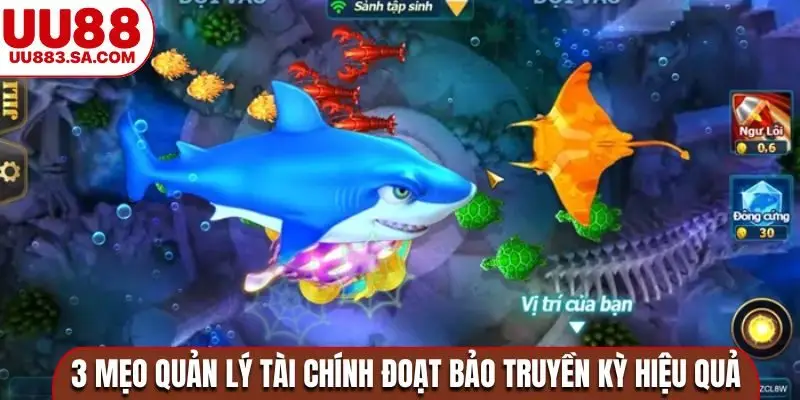 3 mẹo quản lý tài chính đoạt bảo truyền kỳ hiệu quả