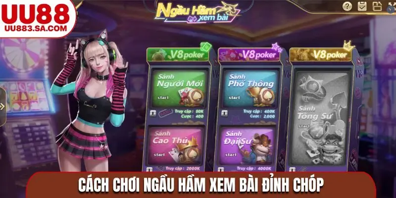 Cách chơi ngầu hầm xem bài đỉnh chóp