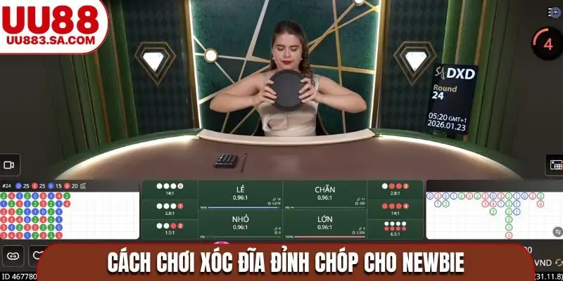 Cách chơi xóc đĩa đỉnh chóp cho newbie